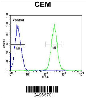BCAN Antibody (C-term)