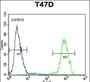 PENK Antibody (Center)