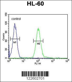 COQ7 Antibody (C-term)