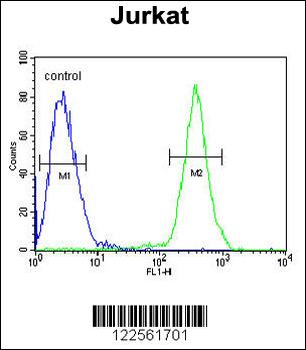 SAMSN1 Antibody (Center)