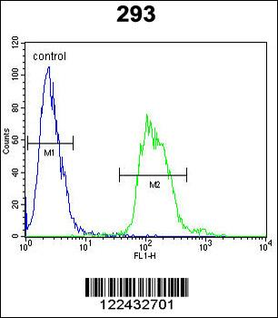 TAC1 Antibody (C-term)
