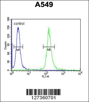 KCNK7 Antibody (C-term)