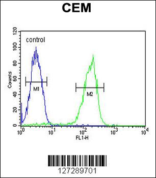 MAP1S Antibody (Center)