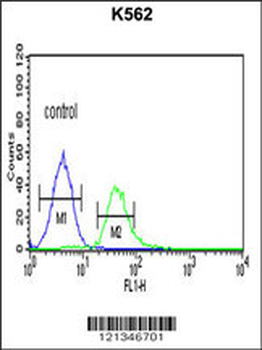 TCF4 Antibody (N-term)
