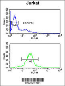 RSPO4 Antibody (C-term)