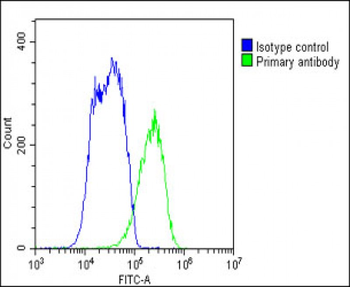 SLC10A1 Antibody (C-term)