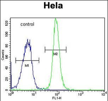 DONSON Antibody (Center)