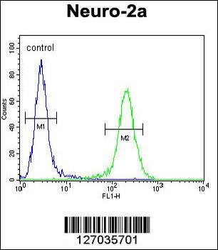 ZDHC2 Antibody (N-term)