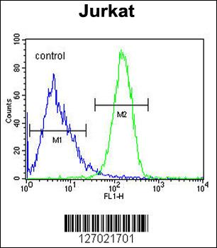 CC106 Antibody (Center)