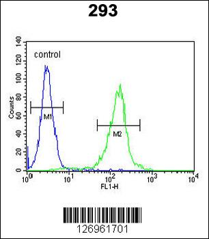 STEA2 Antibody (Center)