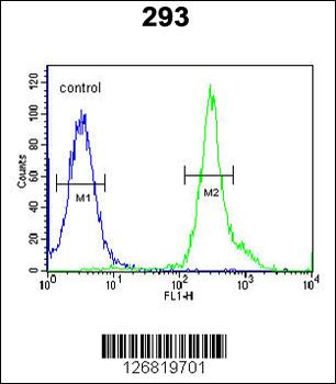 TSPAN3 Antibody (Center)