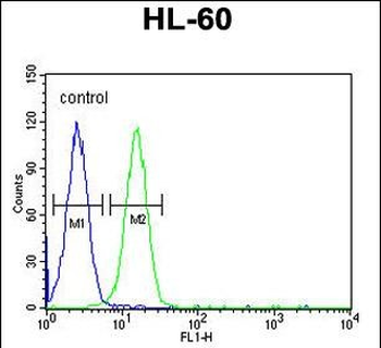 EMX2 Antibody (Center)