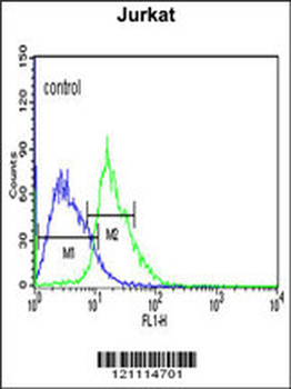 EHMT2 Antibody (N-term)