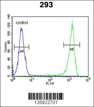 FLJ11506 Antibody (C-term)