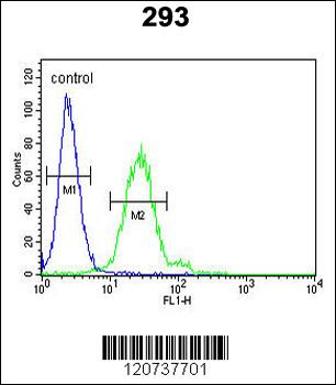 EpCAM Antibody (N-term)