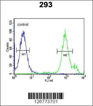 SLC9A9 Antibody (C-term)