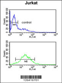 TPC6A Antibody (N-term)