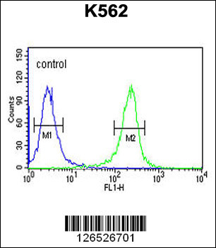 MTMR15 Antibody (N-term)