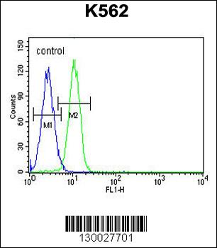 G6PC Antibody (Center)