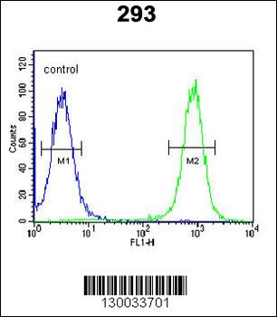 EPC2 Antibody (N-term)
