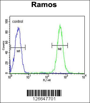 EMC10 Antibody (N-term)