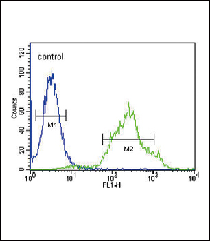 ZDHHC21 Antibody (N-term)
