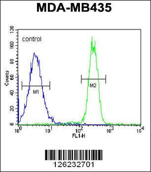 SGF29 Antibody (C-term)