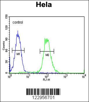 XRCC6 Antibody (Center)