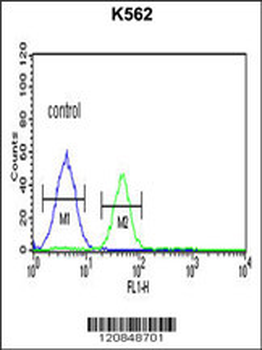 PSMAL Antibody (Center)