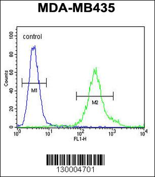 FBXL2 Antibody (C-term)