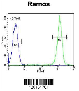 CMTM7 Antibody (N-term)