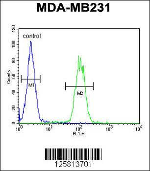 AP1S1 Antibody (N-Term)