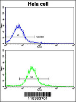 CA9 Antibody (Center)