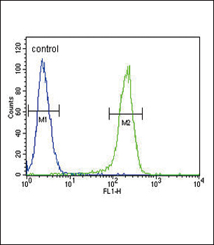 CCR7 Antibody (N-term)