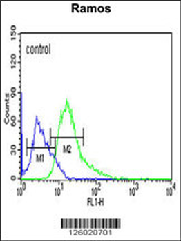 ARHGAP30 Antibody (C-term)