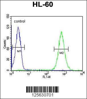 MILK2 Antibody (C-term)