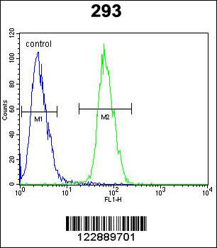 PLA2G1B Antibody (C-term)