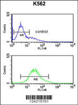 RPS15A Antibody (N-term)