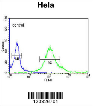 SYTL2 Antibody (Center)