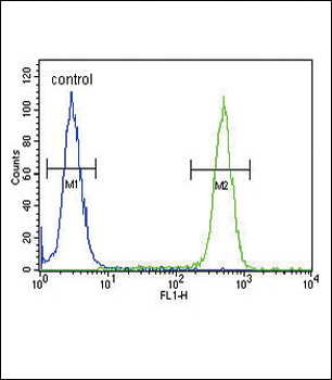 ASMT Antibody (Center)