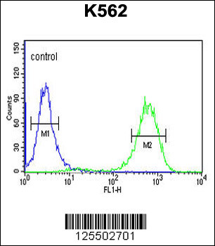 CQ068 Antibody (Center)