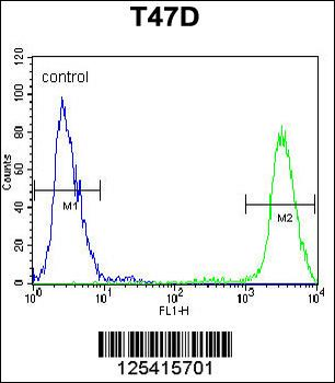PIGM Antibody (C-term)