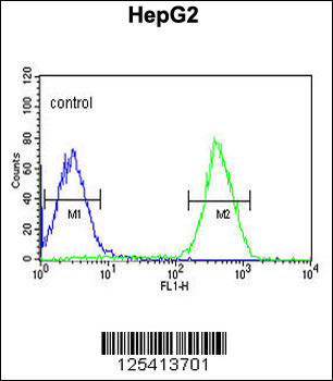 PUR4 Antibody (N-term)