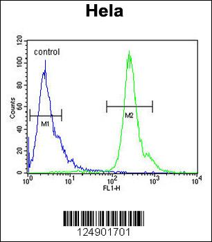 PNPLA8 Antibody (N-term)