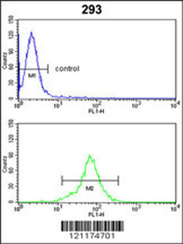 PSMD13 Antibody (C-term)