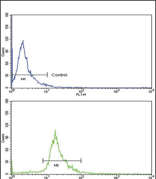 CD105 Antibody (Center E395)