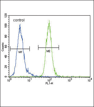 ENPP2 Antibody (Center)