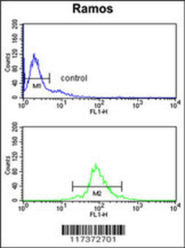 U2AF1 Antibody (Center Y114)