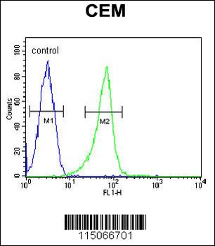 ITGB1BP3 Antibody (Center)