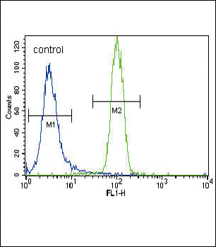 HNF4A Antibody (Center)